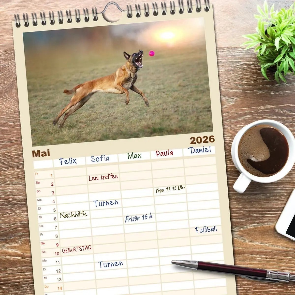 Bild: 9783516607369 | Familienplaner 2026 - Mit dem Malinois durch das Jahr mit 5 Spalten...