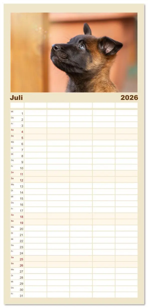 Bild: 9783516607369 | Familienplaner 2026 - Mit dem Malinois durch das Jahr mit 5 Spalten...