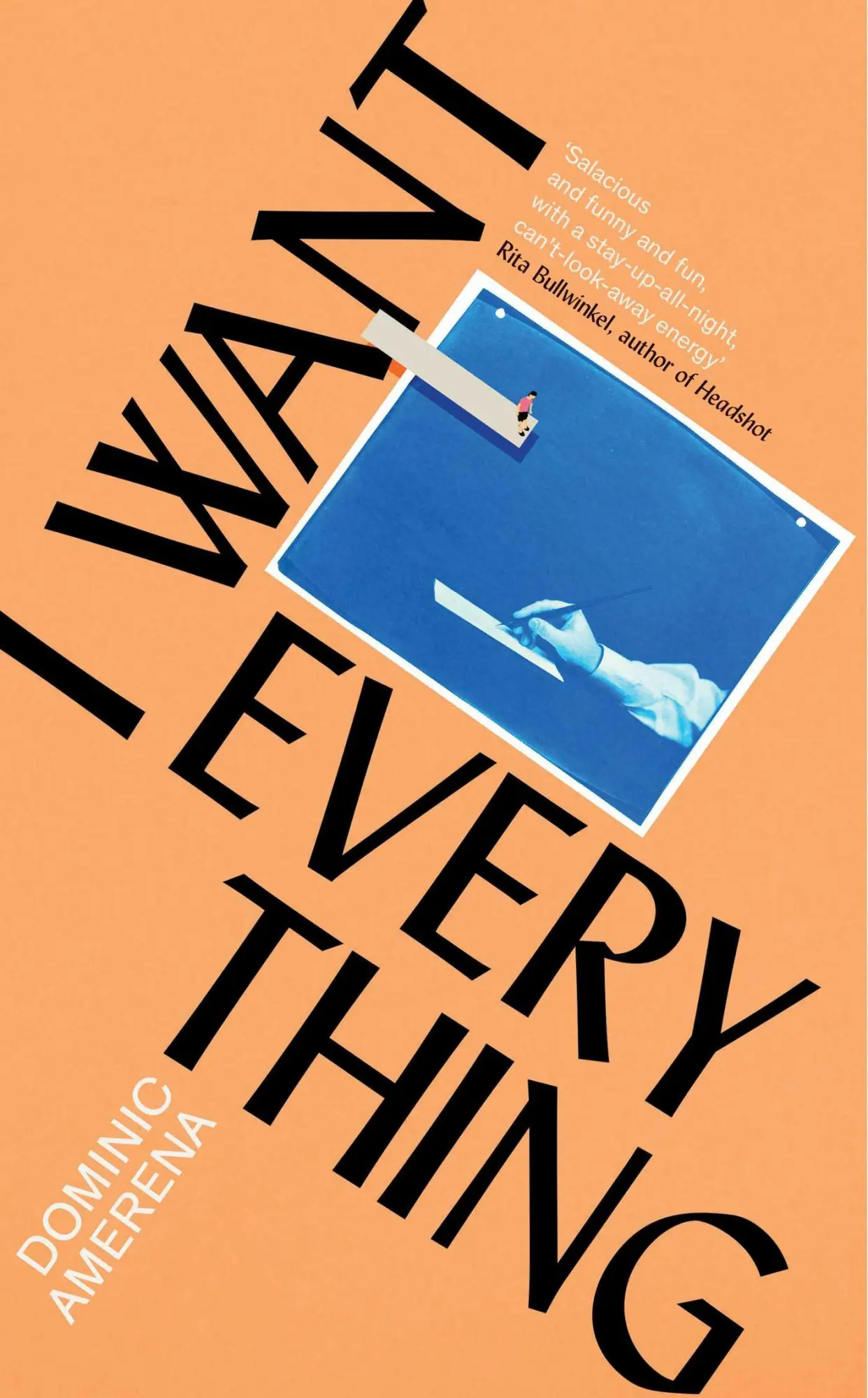 Cover: 9781398547469 | I Want Everything | Dominic Amerena | Taschenbuch | 269 S. | Englisch