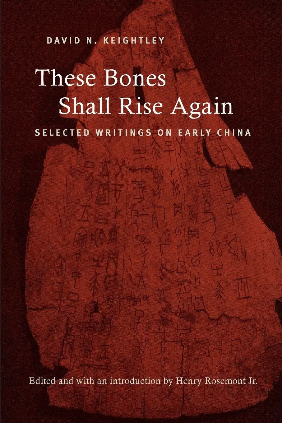 Cover: 9781438447469 | These Bones Shall Rise Again | Selected Writings on Early China | Buch