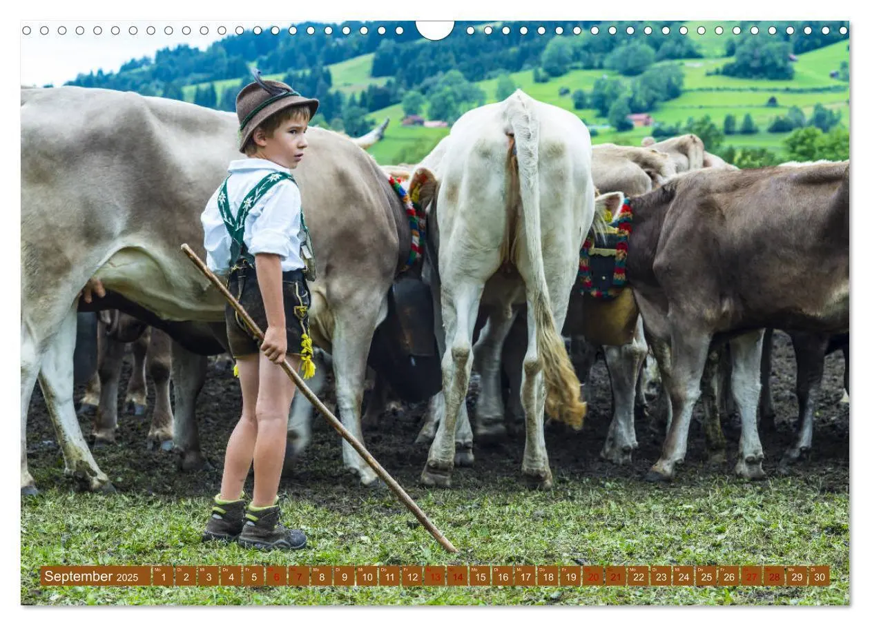 Bild: 9783435347469 | Allgäuer Schönheiten Allgäu - Land der Kühe (Wandkalender 2025 DIN...