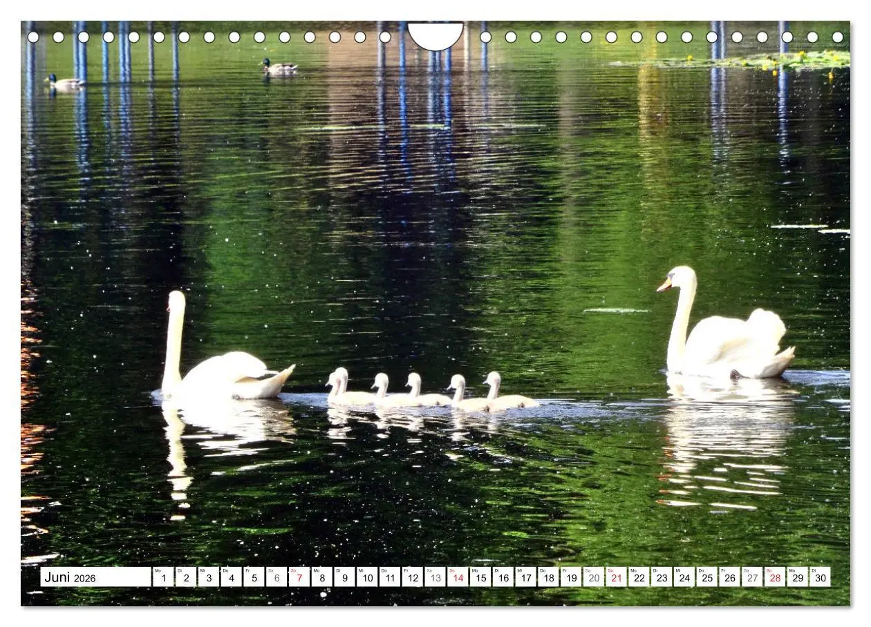 Bild: 9783457747469 | Oranienburg - Kleinod an der Havel (Wandkalender 2026 DIN A4 quer),...