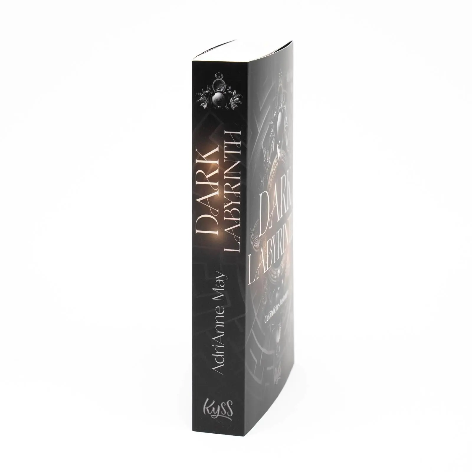 Bild: 9783499017469 | Dark Labyrinth - Gefährliches Verlangen | Adrianne May | Taschenbuch
