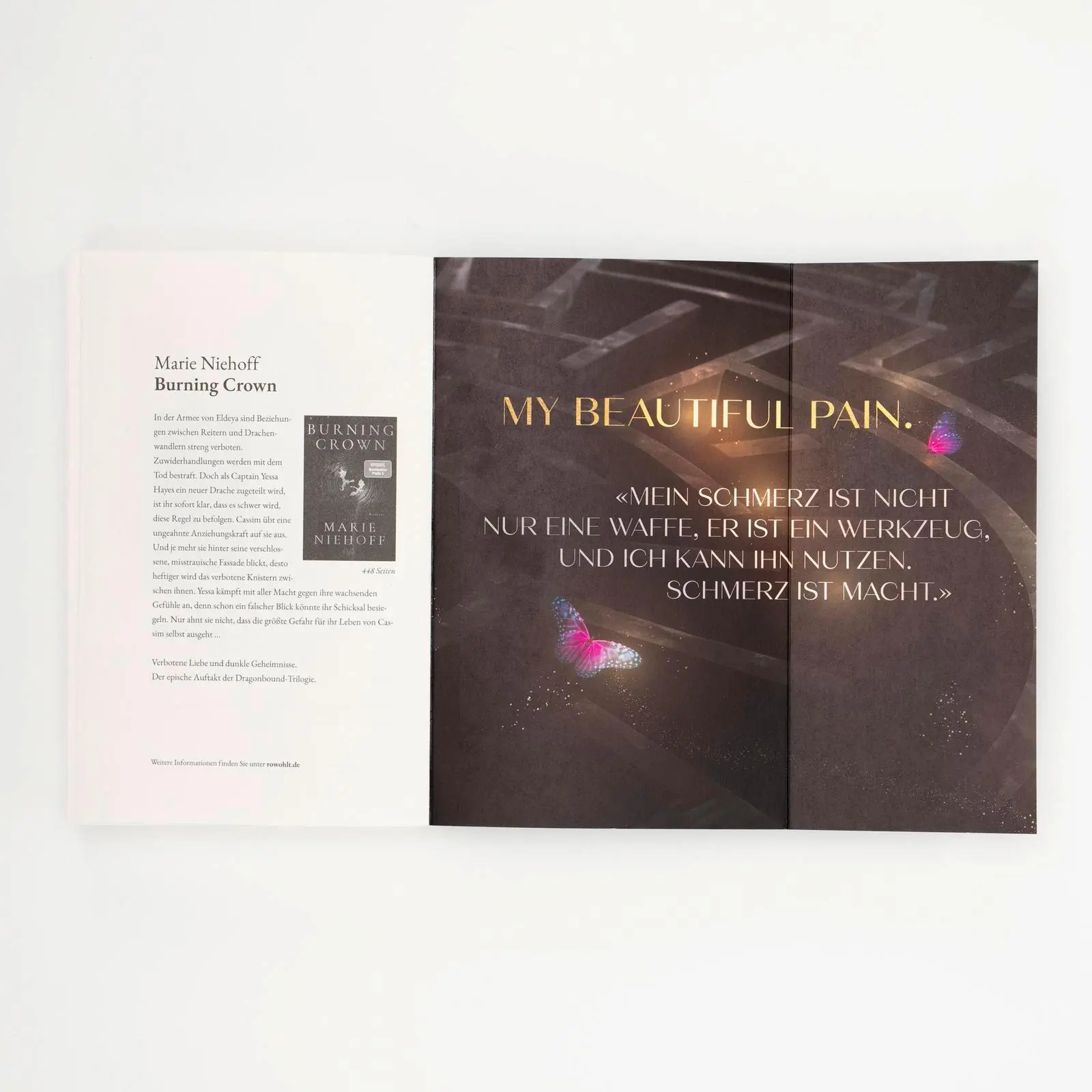 Bild: 9783499017469 | Dark Labyrinth - Gefährliches Verlangen | Adrianne May | Taschenbuch