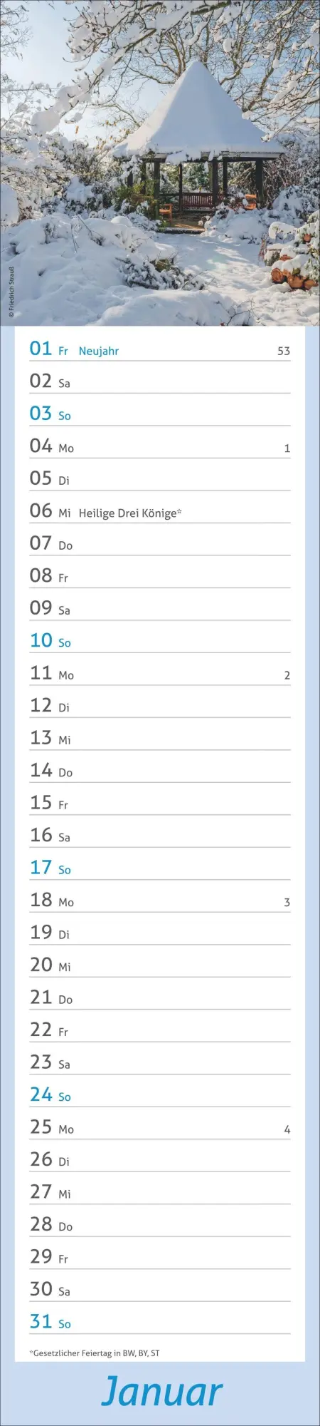 Bild: 9783756417469 | times&amp;more Garten Langplaner 2027 | Kalender | Spiralbindung | 13 S.