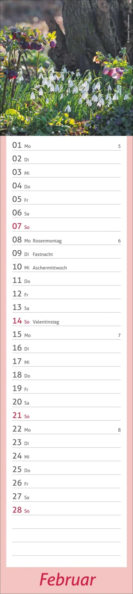 Bild: 9783756417469 | times&amp;more Garten Langplaner 2027 | Kalender | Spiralbindung | 13 S.