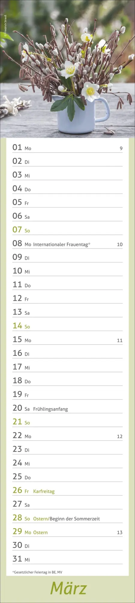 Bild: 9783756417469 | times&amp;more Garten Langplaner 2027 | Kalender | Spiralbindung | 13 S.