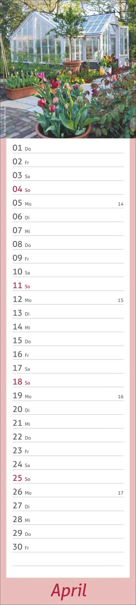 Bild: 9783756417469 | times&amp;more Garten Langplaner 2027 | Kalender | Spiralbindung | 13 S.