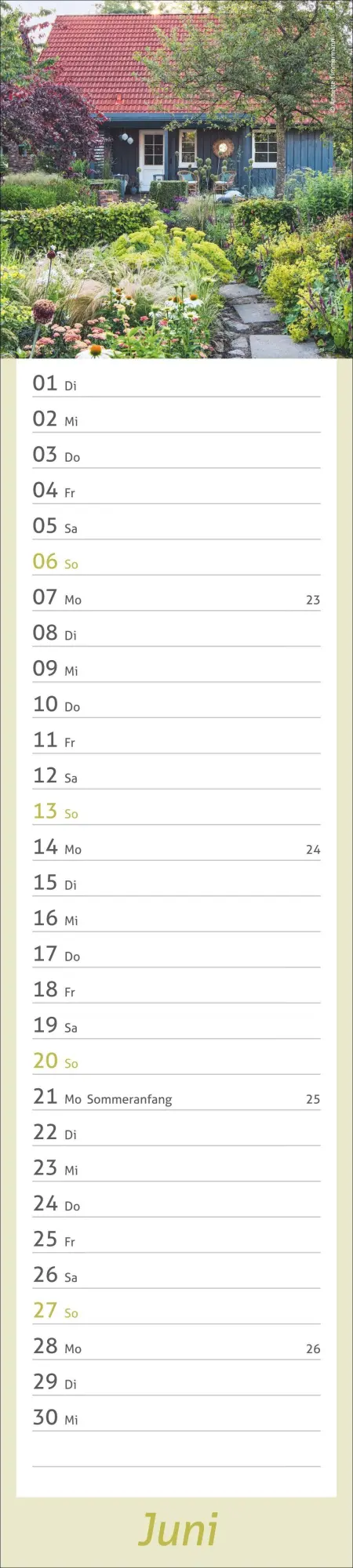 Bild: 9783756417469 | times&amp;more Garten Langplaner 2027 | Kalender | Spiralbindung | 13 S.