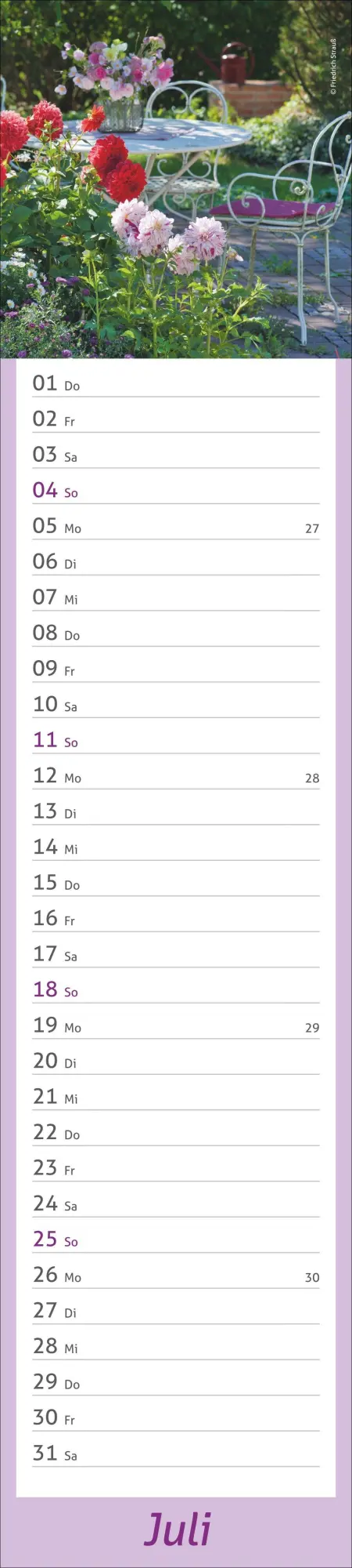 Bild: 9783756417469 | times&amp;more Garten Langplaner 2027 | Kalender | Spiralbindung | 13 S.