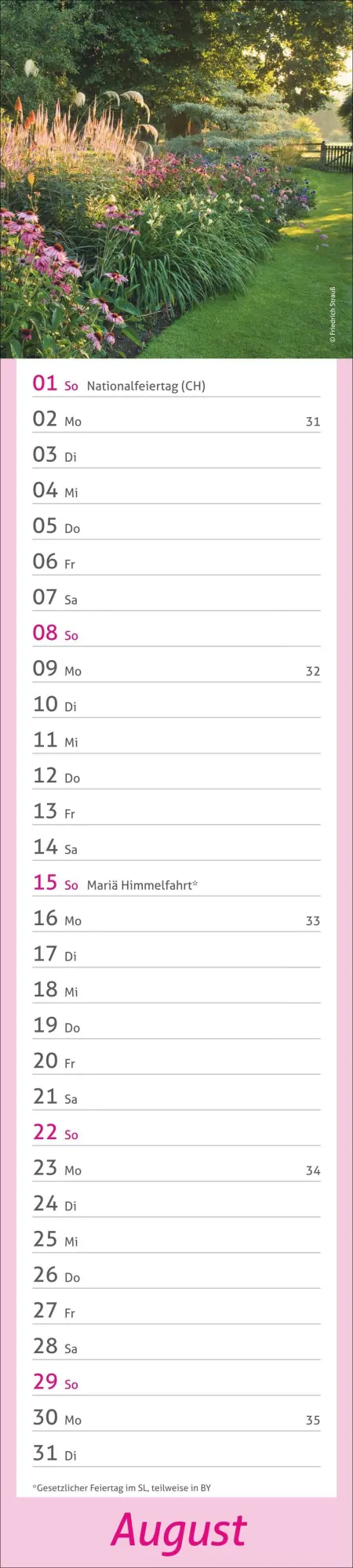 Bild: 9783756417469 | times&amp;more Garten Langplaner 2027 | Kalender | Spiralbindung | 13 S.