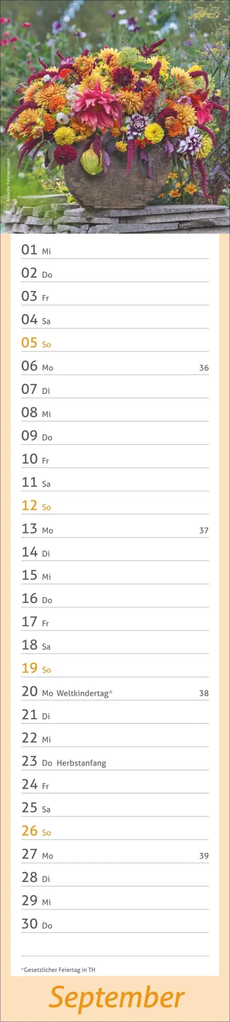 Bild: 9783756417469 | times&amp;more Garten Langplaner 2027 | Kalender | Spiralbindung | 13 S.