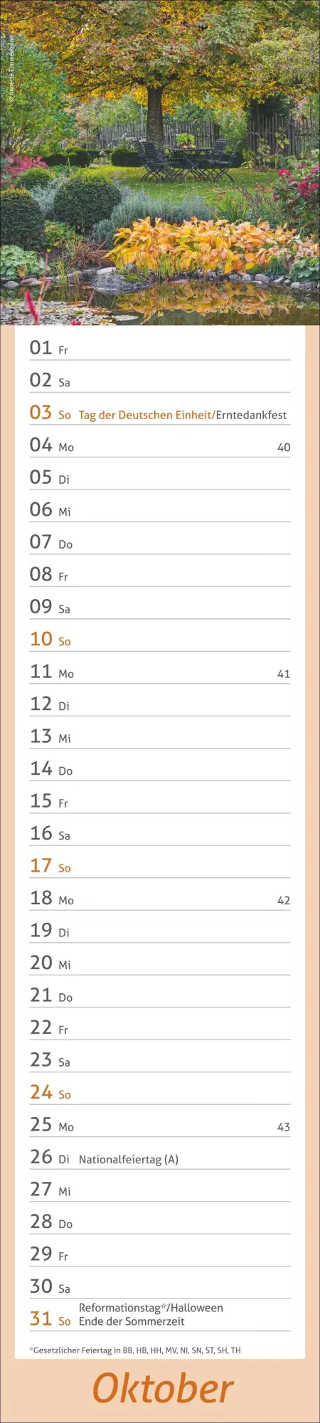 Bild: 9783756417469 | times&amp;more Garten Langplaner 2027 | Kalender | Spiralbindung | 13 S.