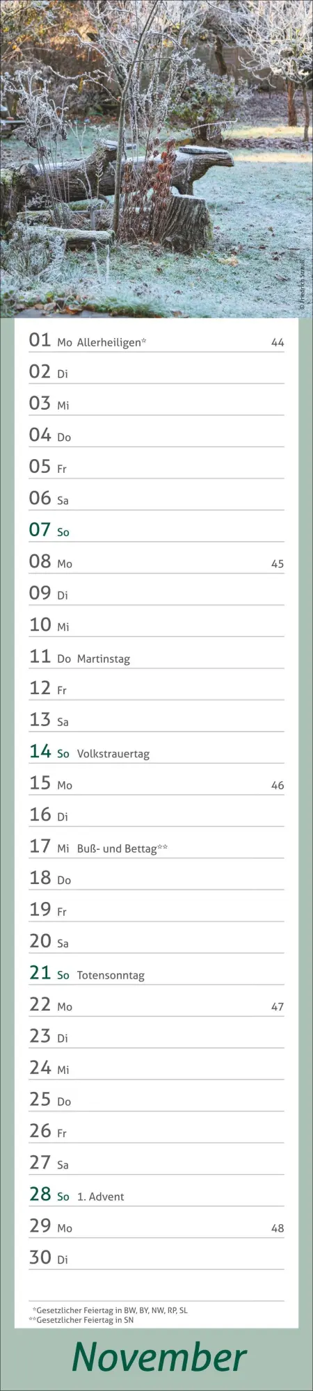 Bild: 9783756417469 | times&amp;more Garten Langplaner 2027 | Kalender | Spiralbindung | 13 S.
