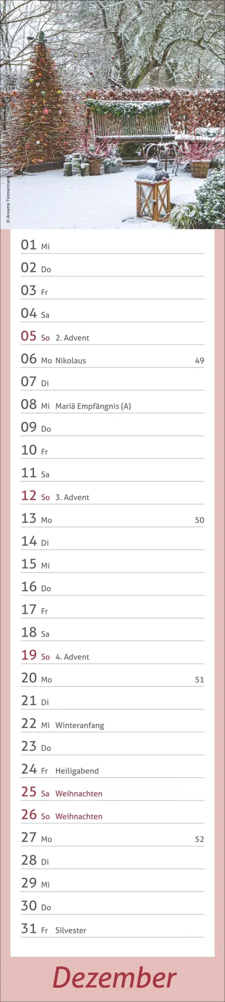 Bild: 9783756417469 | times&amp;more Garten Langplaner 2027 | Kalender | Spiralbindung | 13 S.
