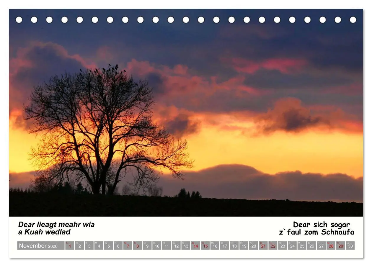 Bild: 9783457287569 | 03 Schwäbische Sprichwörter - Dös au no! (Tischkalender 2026 DIN A5...