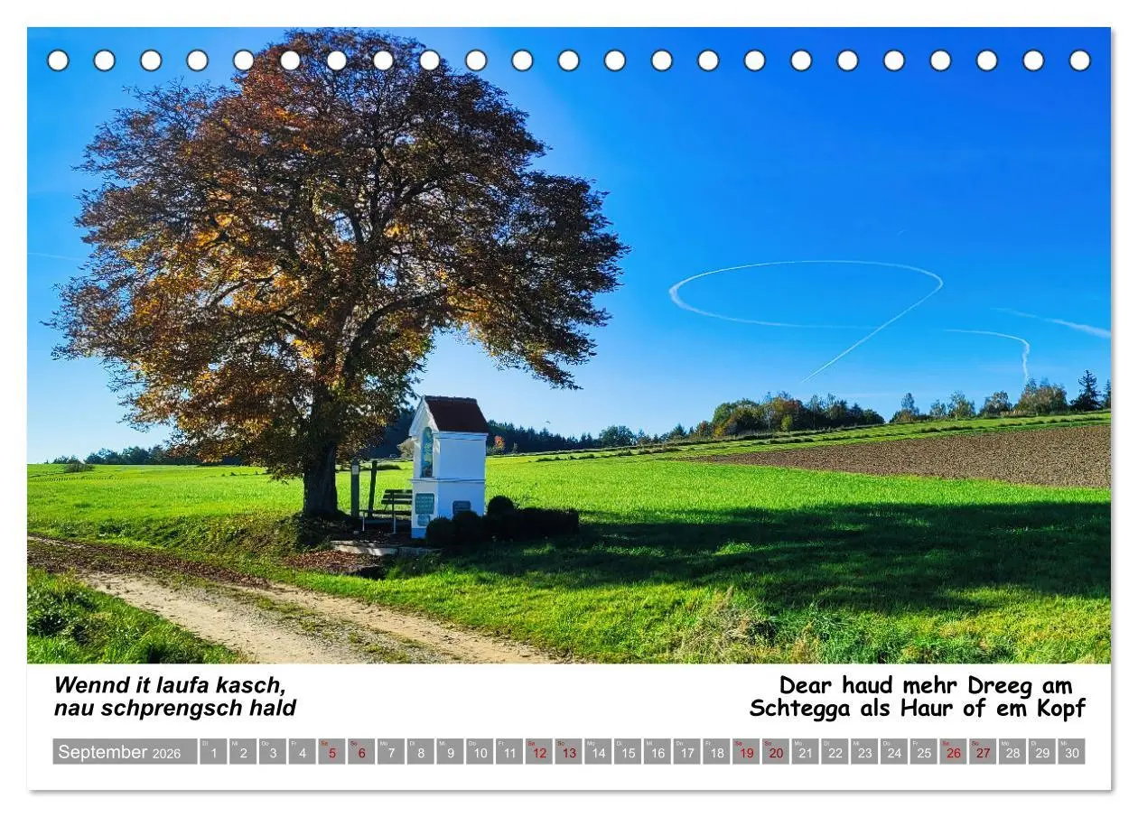 Bild: 9783457287569 | 03 Schwäbische Sprichwörter - Dös au no! (Tischkalender 2026 DIN A5...