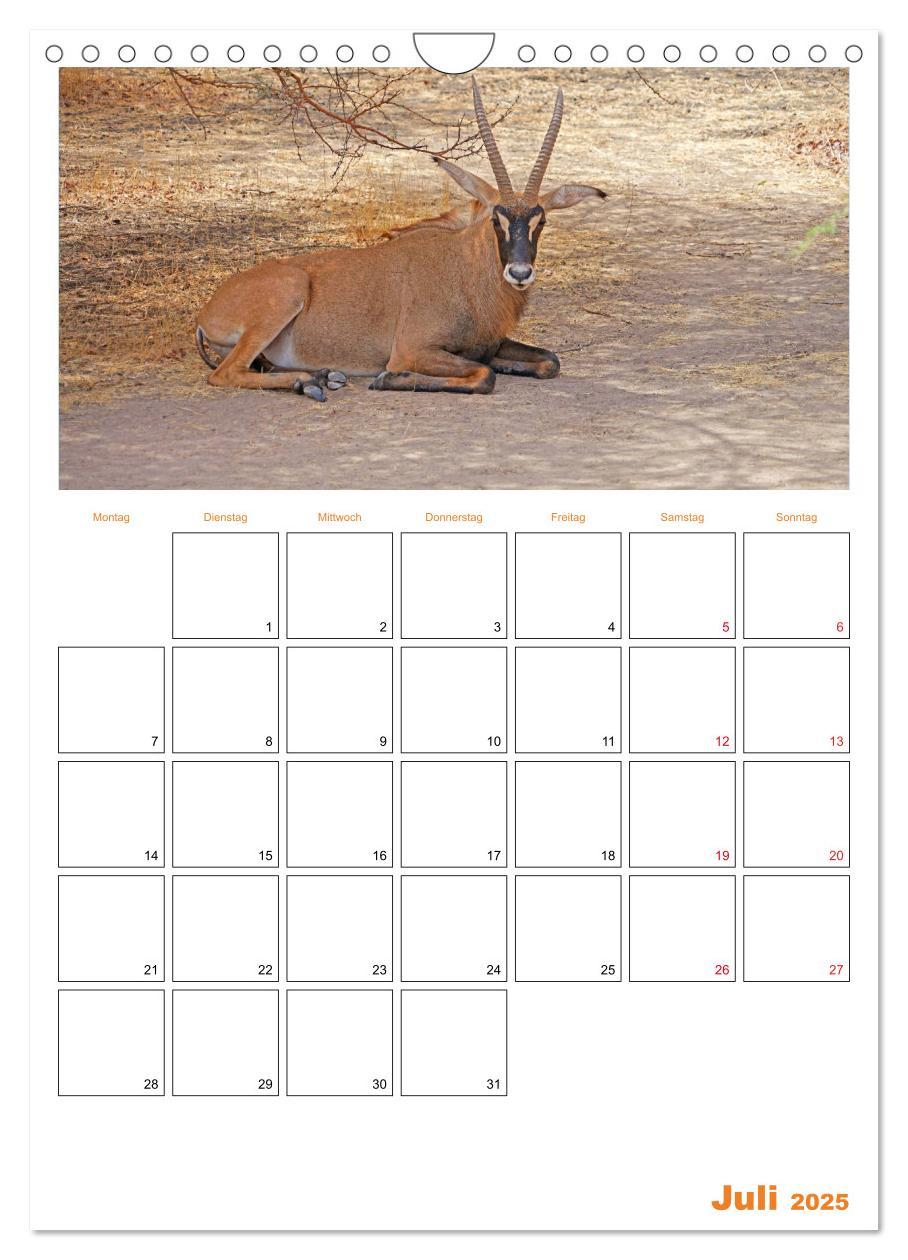 Bild: 9783435947669 | Gambia und Senegal erleben (Wandkalender 2025 DIN A4 hoch),...