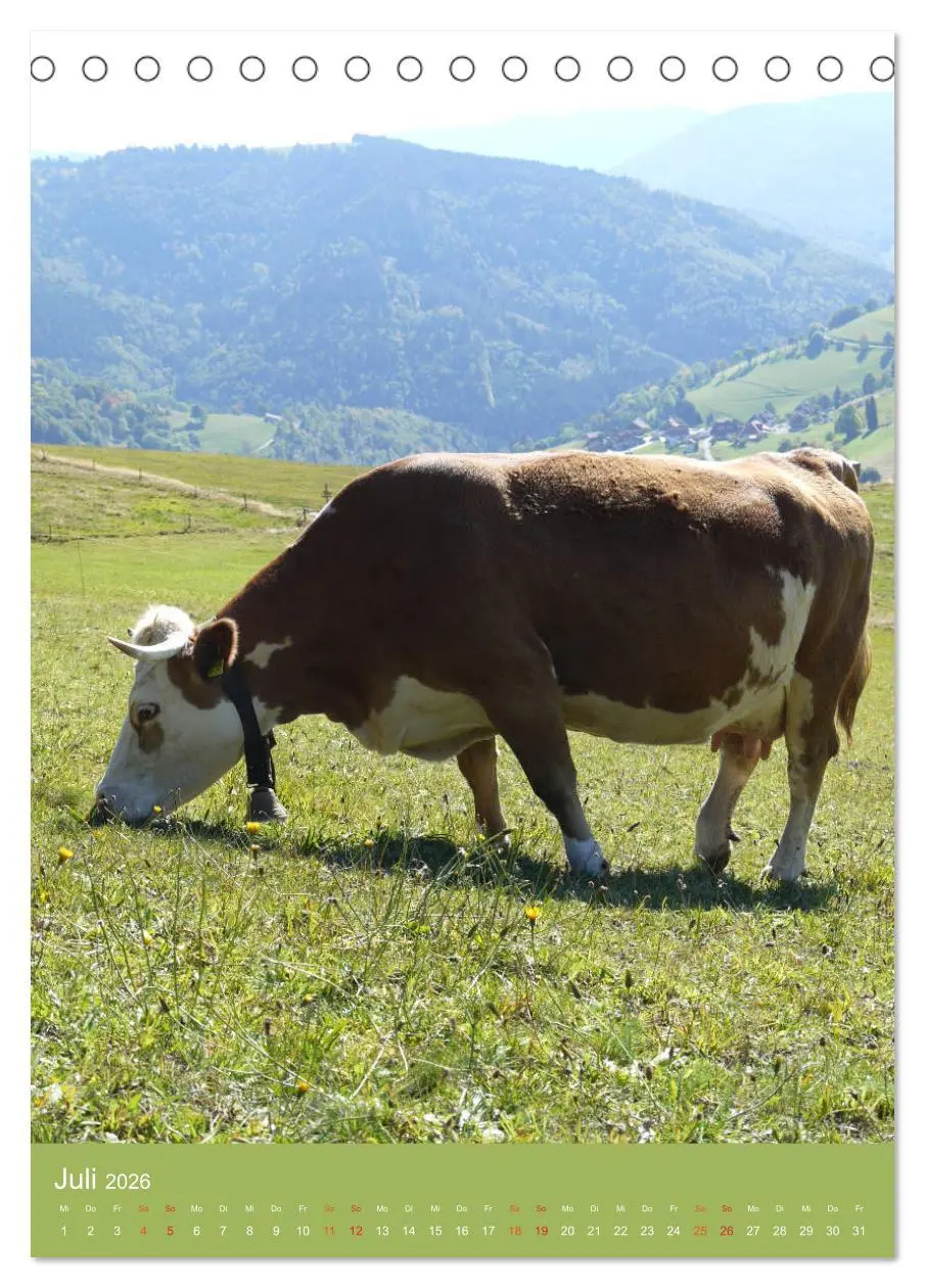 Bild: 9783516437669 | Schwarzwald und Kühe im Hochformat (Tischkalender 2026 DIN A5...