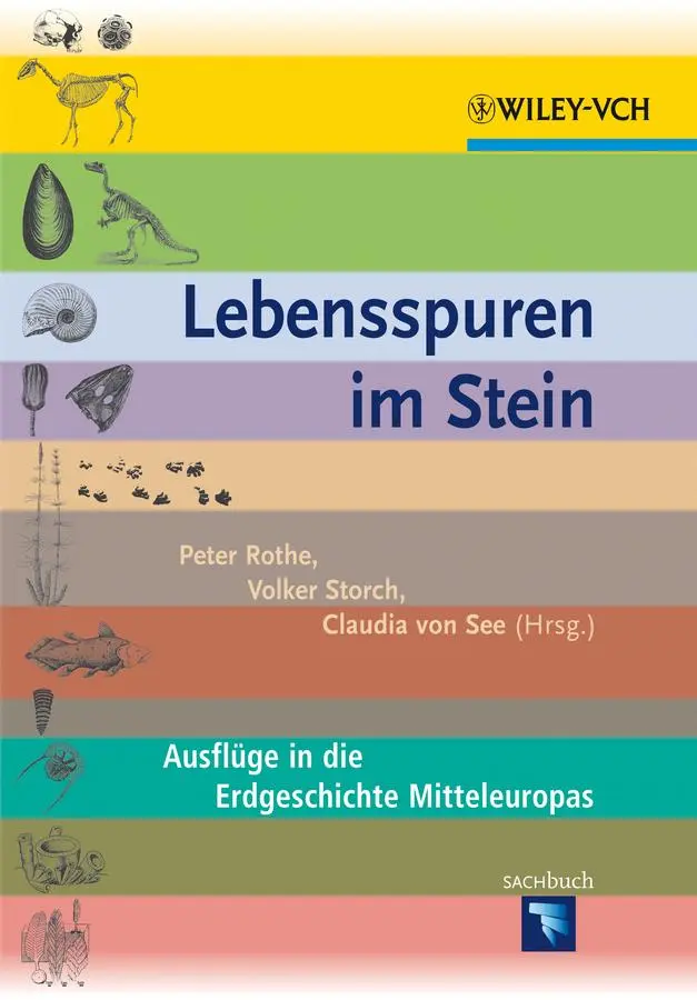 Cover: 9783527327669 | Lebensspuren im Stein | Ausflüge in die Erdgeschichte Mitteleuropas