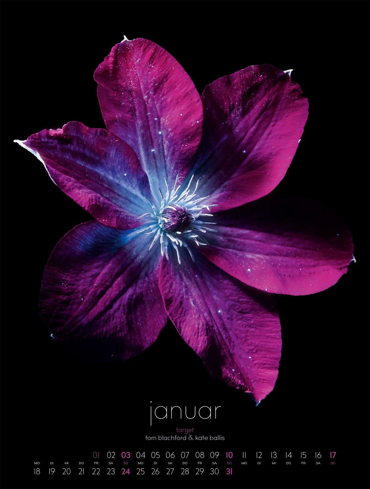 Bild: 9783838427669 | in bloom Kalender 2027 | Blachford (u. a.) | Kalender | 14 S. | 2027