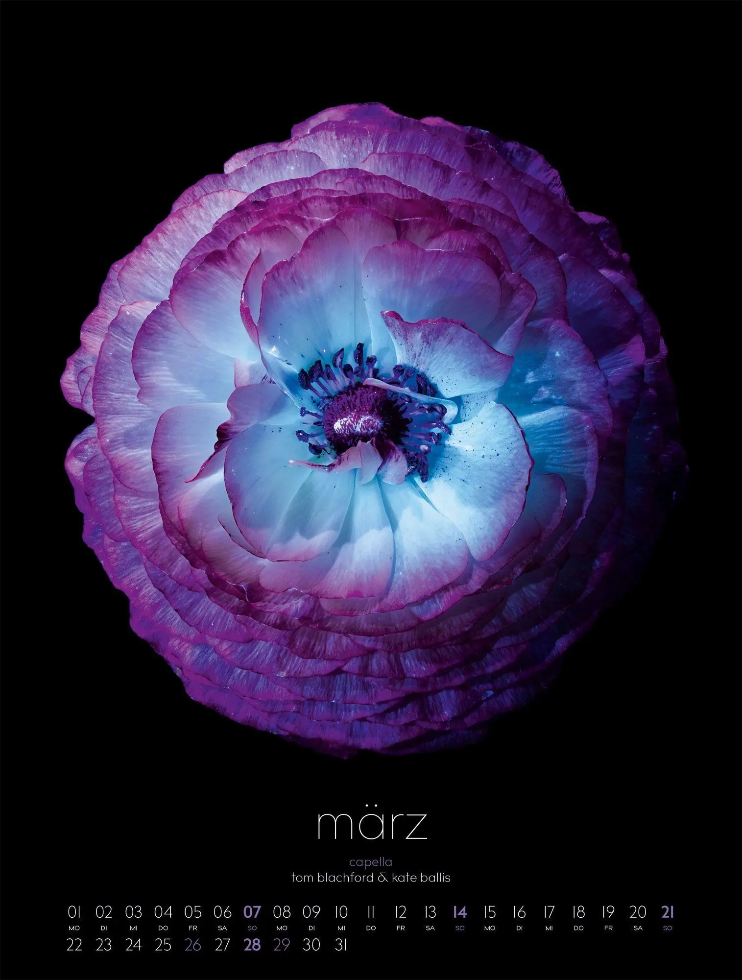 Bild: 9783838427669 | in bloom Kalender 2027 | Blachford (u. a.) | Kalender | 14 S. | 2027