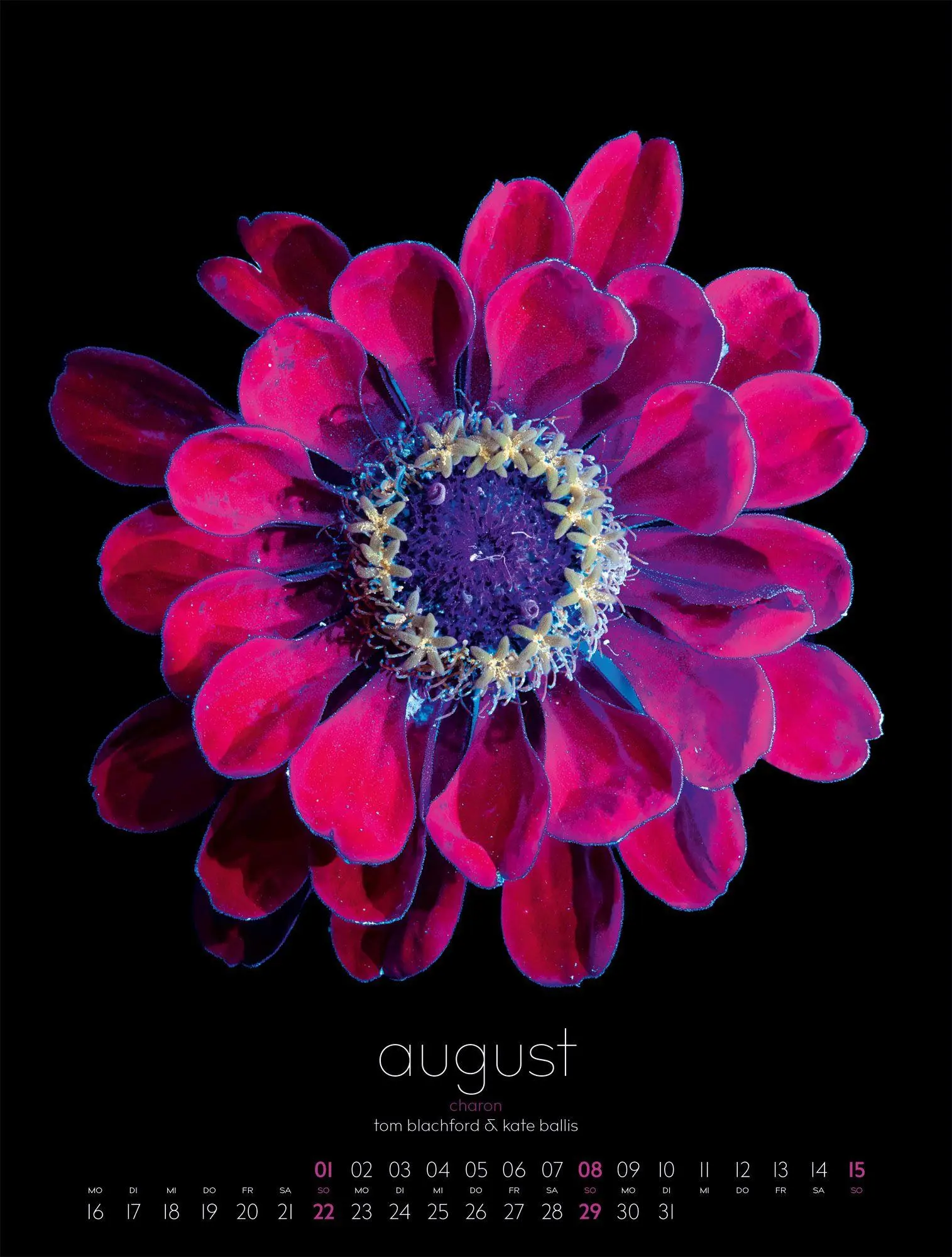 Bild: 9783838427669 | in bloom Kalender 2027 | Blachford (u. a.) | Kalender | 14 S. | 2027