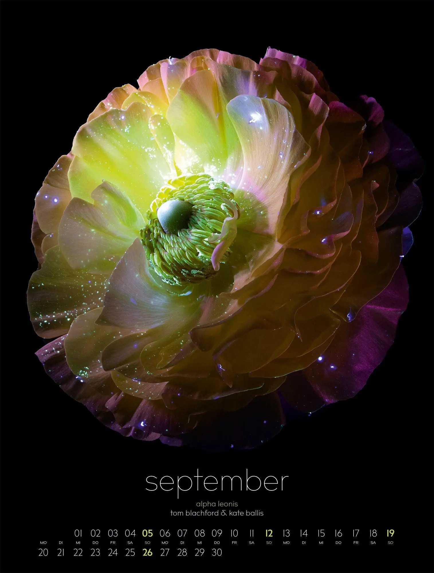 Bild: 9783838427669 | in bloom Kalender 2027 | Blachford (u. a.) | Kalender | 14 S. | 2027