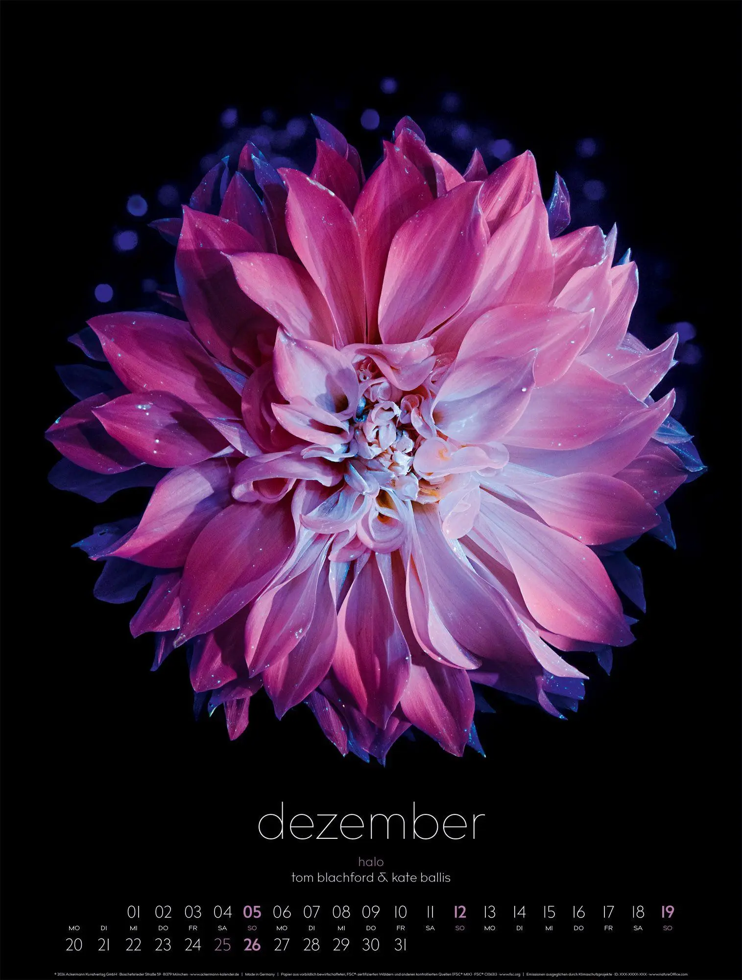 Bild: 9783838427669 | in bloom Kalender 2027 | Blachford (u. a.) | Kalender | 14 S. | 2027
