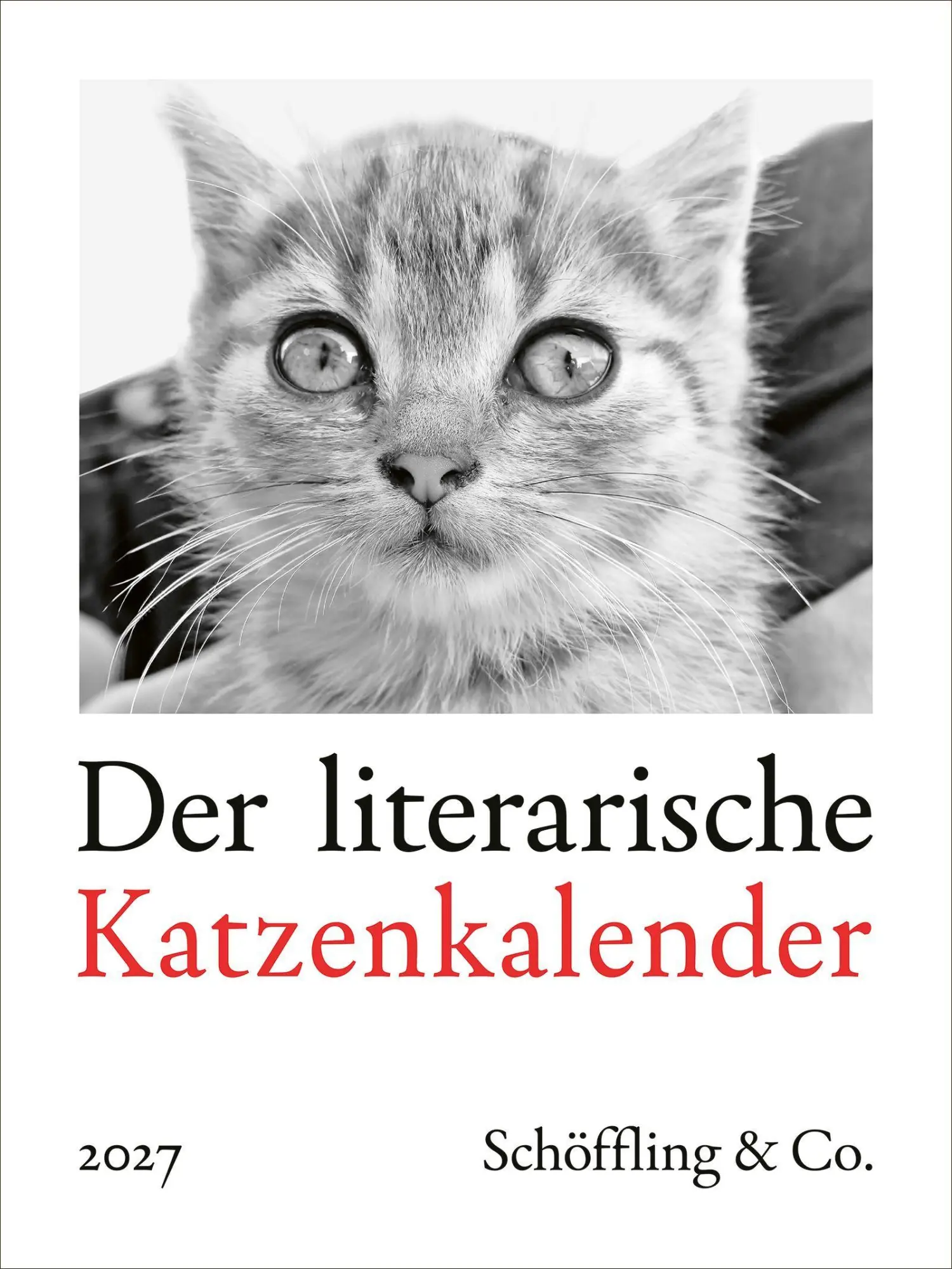 Cover: 9783895617669 | Der literarische Katzenkalender 2027 | Julia Bachstein | Kalender