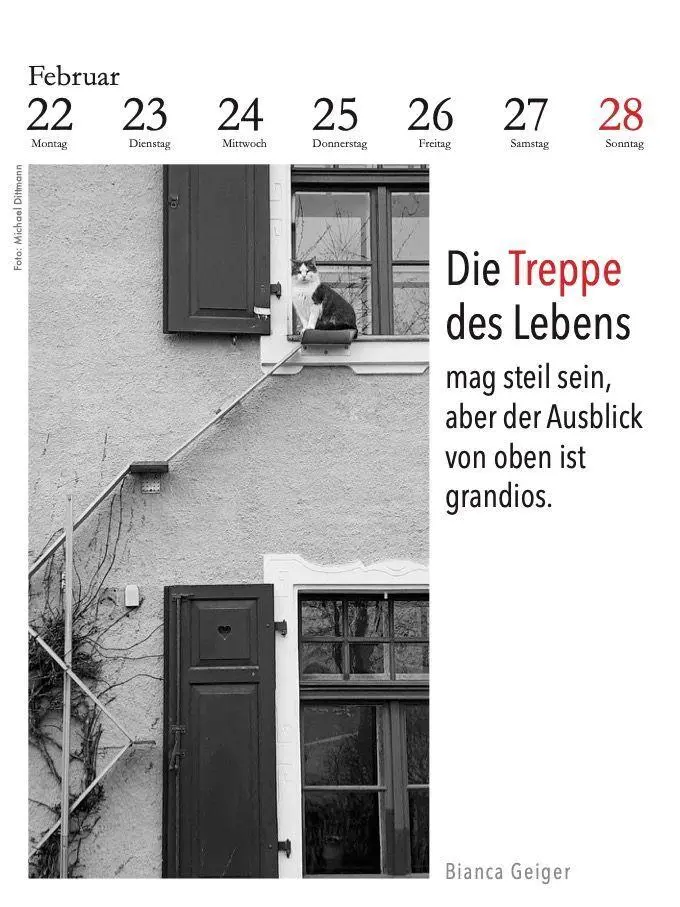 Bild: 9783895617669 | Der literarische Katzenkalender 2027 | Julia Bachstein | Kalender