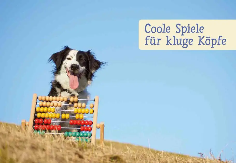 Bild: 9783818617769 | Spiele und Action für ausgeglichene Hütehunde | Marion Albers | Buch