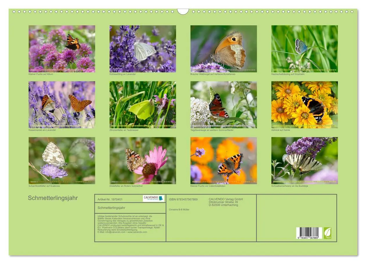 Bild: 9783457567869 | Schmetterlingsjahr (Wandkalender 2026 DIN A2 quer), CALVENDO...
