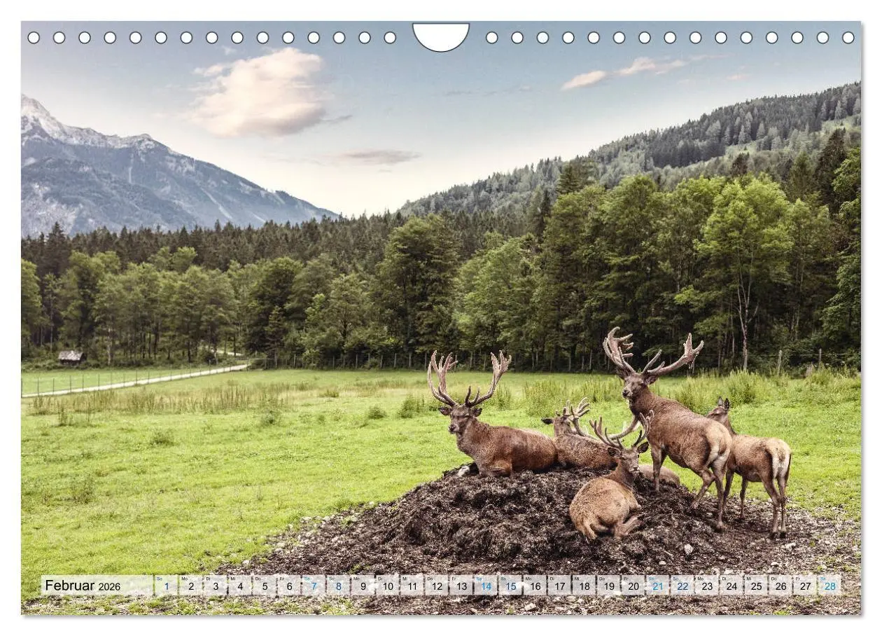 Bild: 9783457877869 | Österreich Berg und See (Wandkalender 2026 DIN A4 quer), CALVENDO...