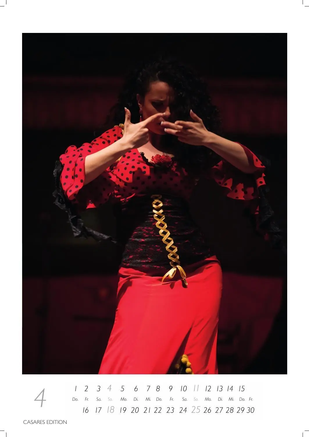 Bild: 9781835247969 | Flamenco color Kalender 2027 - Wandkalender Fotokalender...