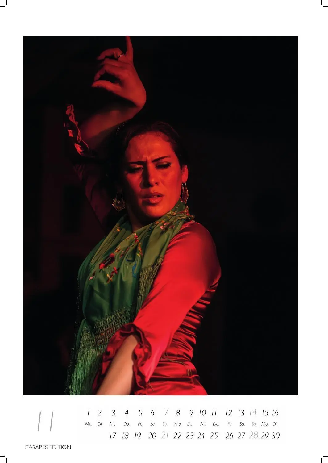 Bild: 9781835247969 | Flamenco color Kalender 2027 - Wandkalender Fotokalender...