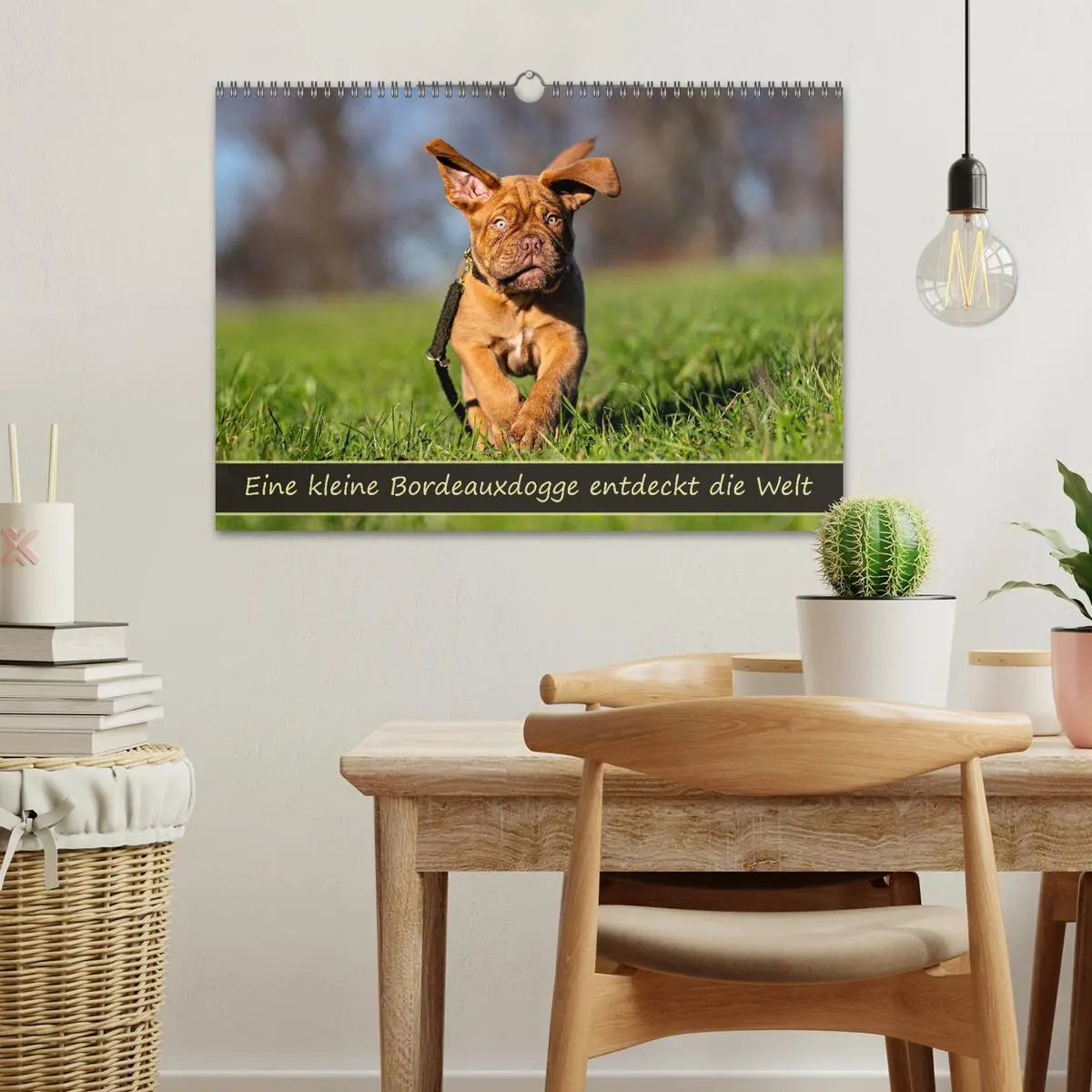 Bild: 9783457247969 | Eine kleine Bordeauxdogge entdeckt die Welt (Wandkalender 2026 DIN...