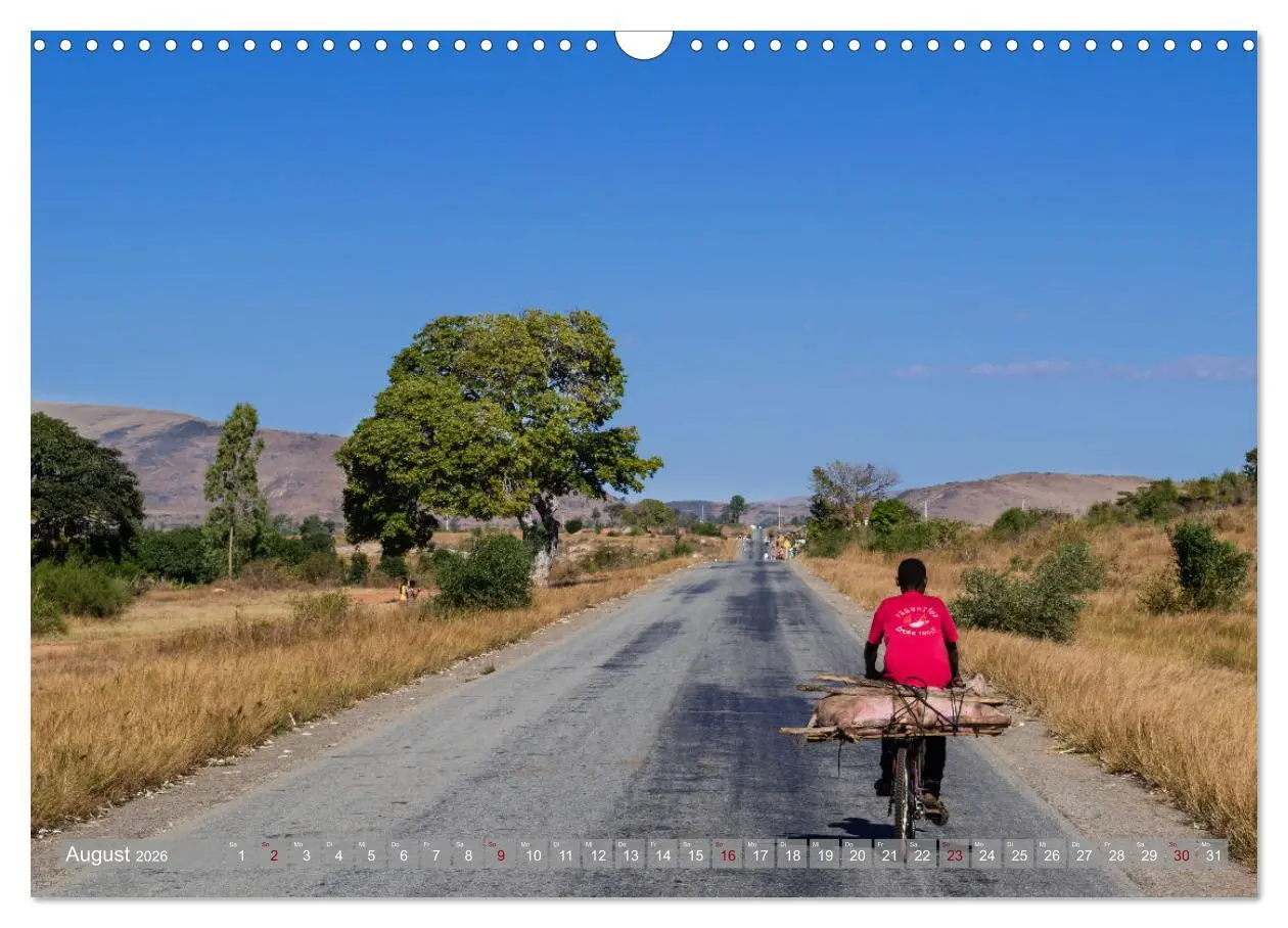 Bild: 9783457557969 | Biken - Impressionen von Rolf Dietz (Wandkalender 2026 DIN A3...