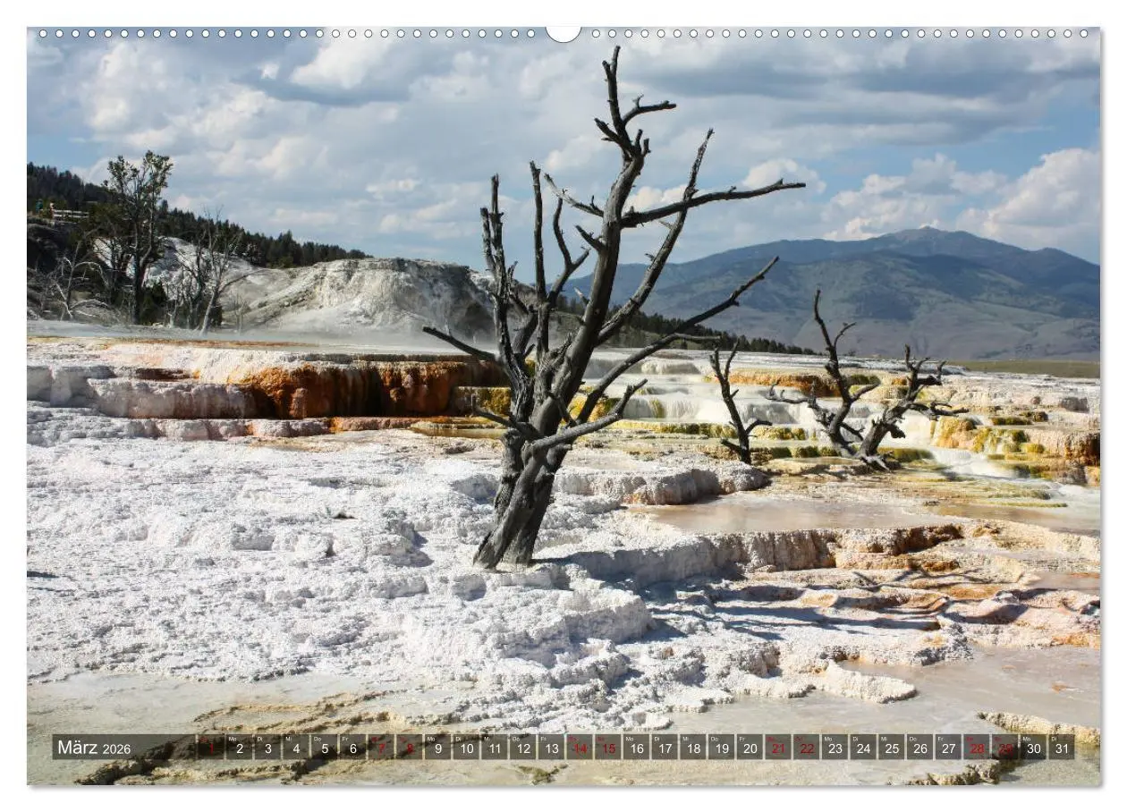 Bild: 9783457867969 | Farben des Yellowstone National Park 2026 (Wandkalender 2026 DIN A2...