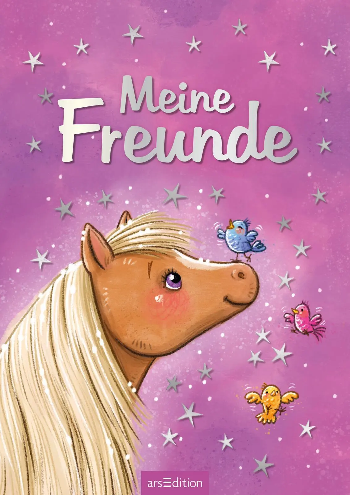 Bild: 4014489128069 | Meine Freunde - Zauberponys | Simone Leiss-Bohn | Buch | 64 S. | 2022