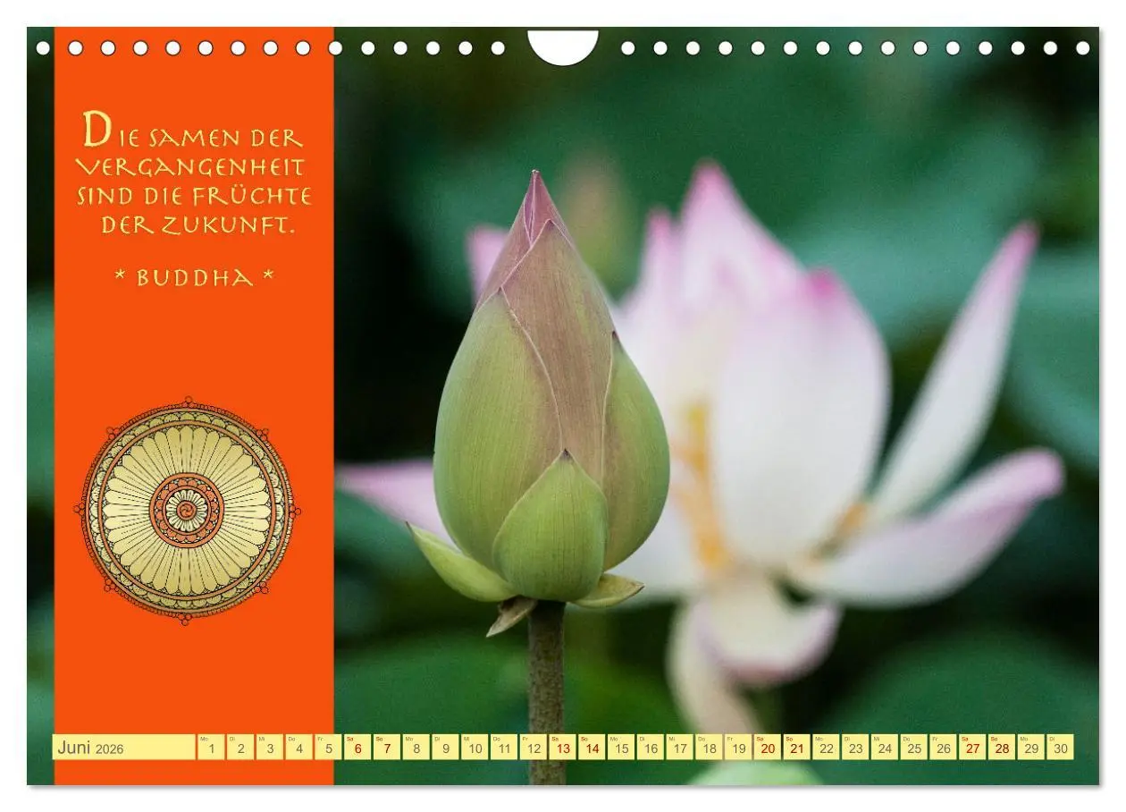 Bild: 9783457378069 | Buddhas Zitate Wege zur Erleuchtung (Wandkalender 2026 DIN A4...