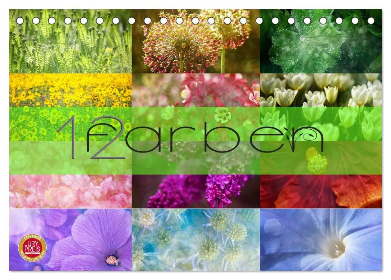Cover: 9783516228069 | 12 Farben (Tischkalender 2026 DIN A5 quer), CALVENDO Monatskalender