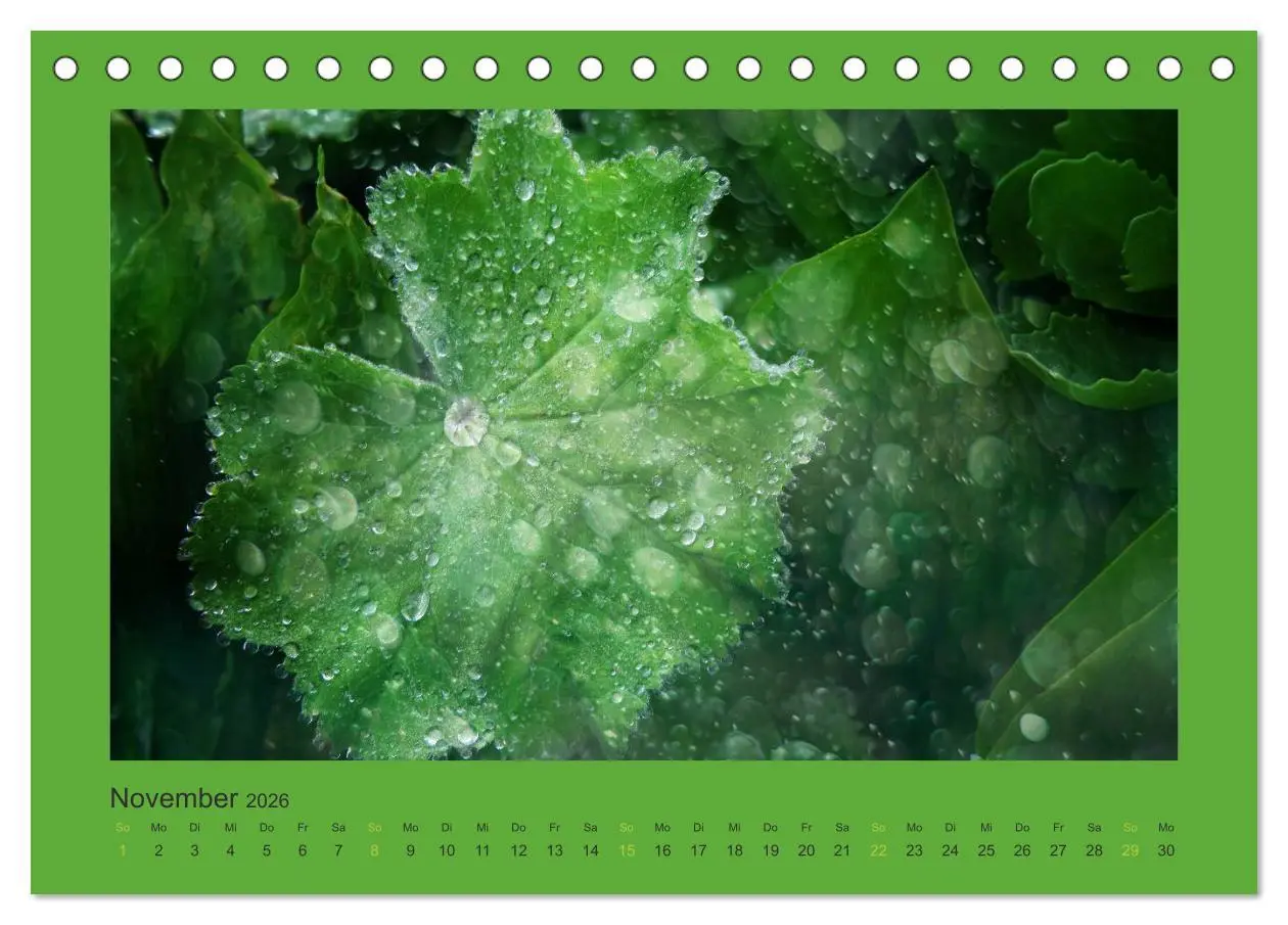 Bild: 9783516228069 | 12 Farben (Tischkalender 2026 DIN A5 quer), CALVENDO Monatskalender
