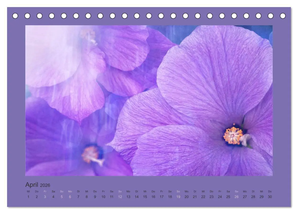 Bild: 9783516228069 | 12 Farben (Tischkalender 2026 DIN A5 quer), CALVENDO Monatskalender