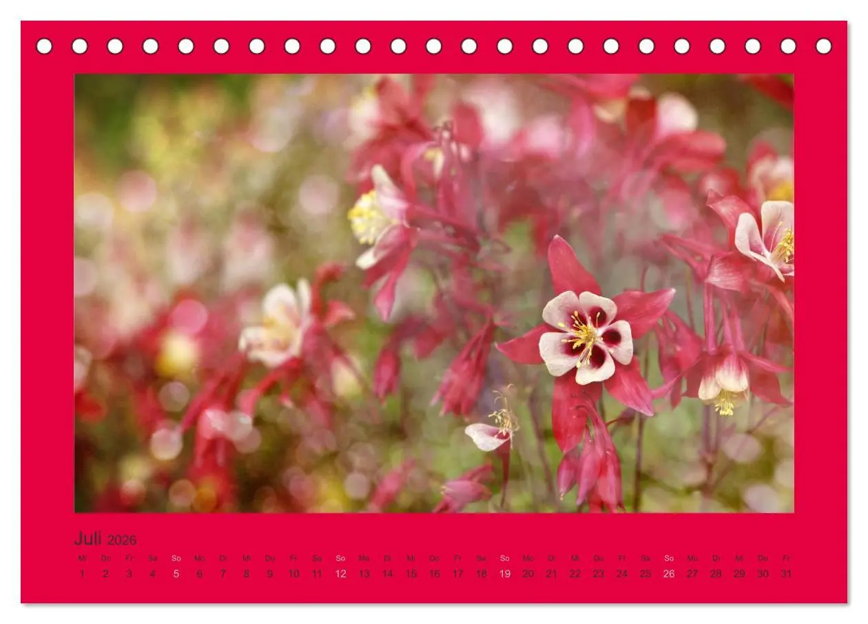 Bild: 9783516228069 | 12 Farben (Tischkalender 2026 DIN A5 quer), CALVENDO Monatskalender