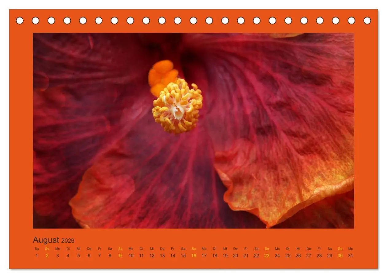 Bild: 9783516228069 | 12 Farben (Tischkalender 2026 DIN A5 quer), CALVENDO Monatskalender