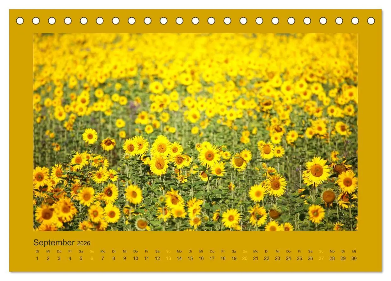 Bild: 9783516228069 | 12 Farben (Tischkalender 2026 DIN A5 quer), CALVENDO Monatskalender