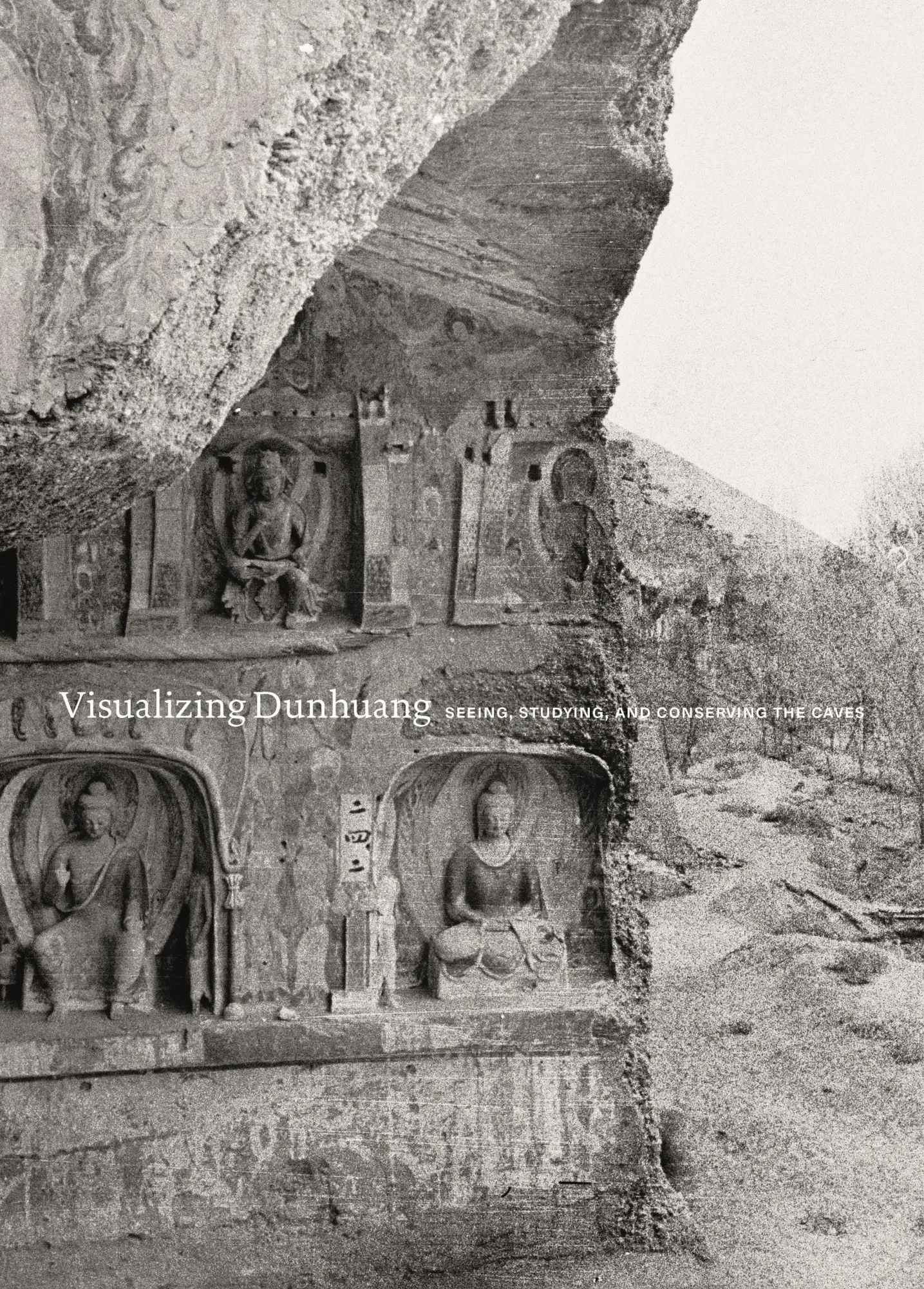Cover: 9780691208169 | Visualizing Dunhuang | Seeing, Studying, and Conserving the Caves