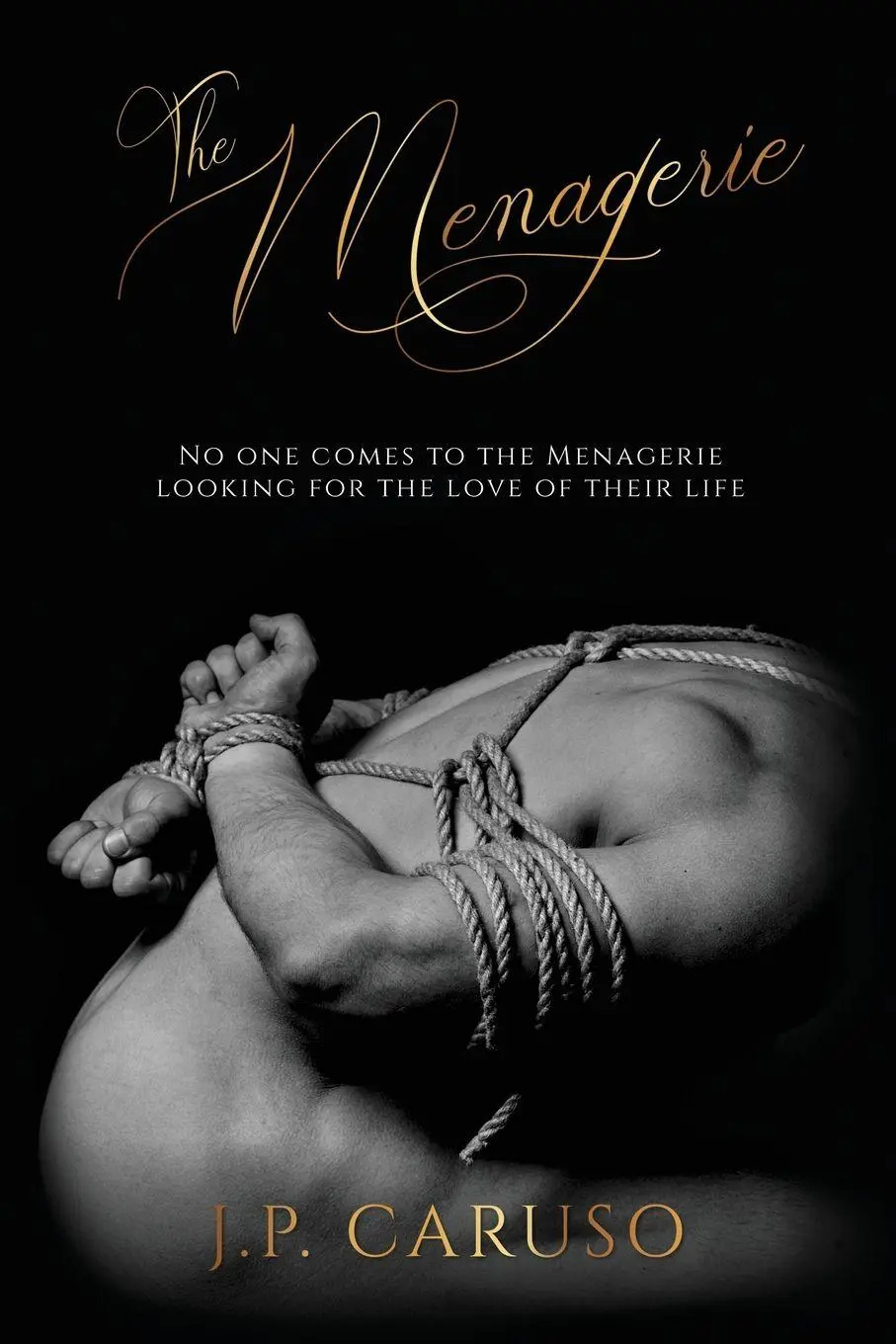 Cover: 9781641088169 | The Menagerie | J. P. Caruso | Taschenbuch | Englisch | 2025