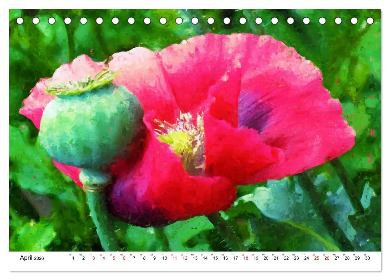 Bild: 9783457598269 | Bunte Mohnblumen - Impressionen der Mohnblüte in Acrylfarbe...